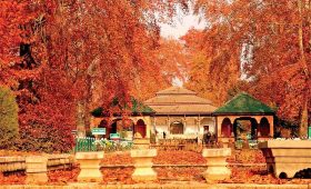 Kashmir's Autumnal Transformation: A Must-See for Nature Lovers