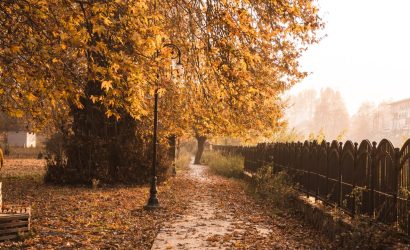 Fall in Love with Kashmir’s Autumn Glory: Plan Your Harud Escape Today!