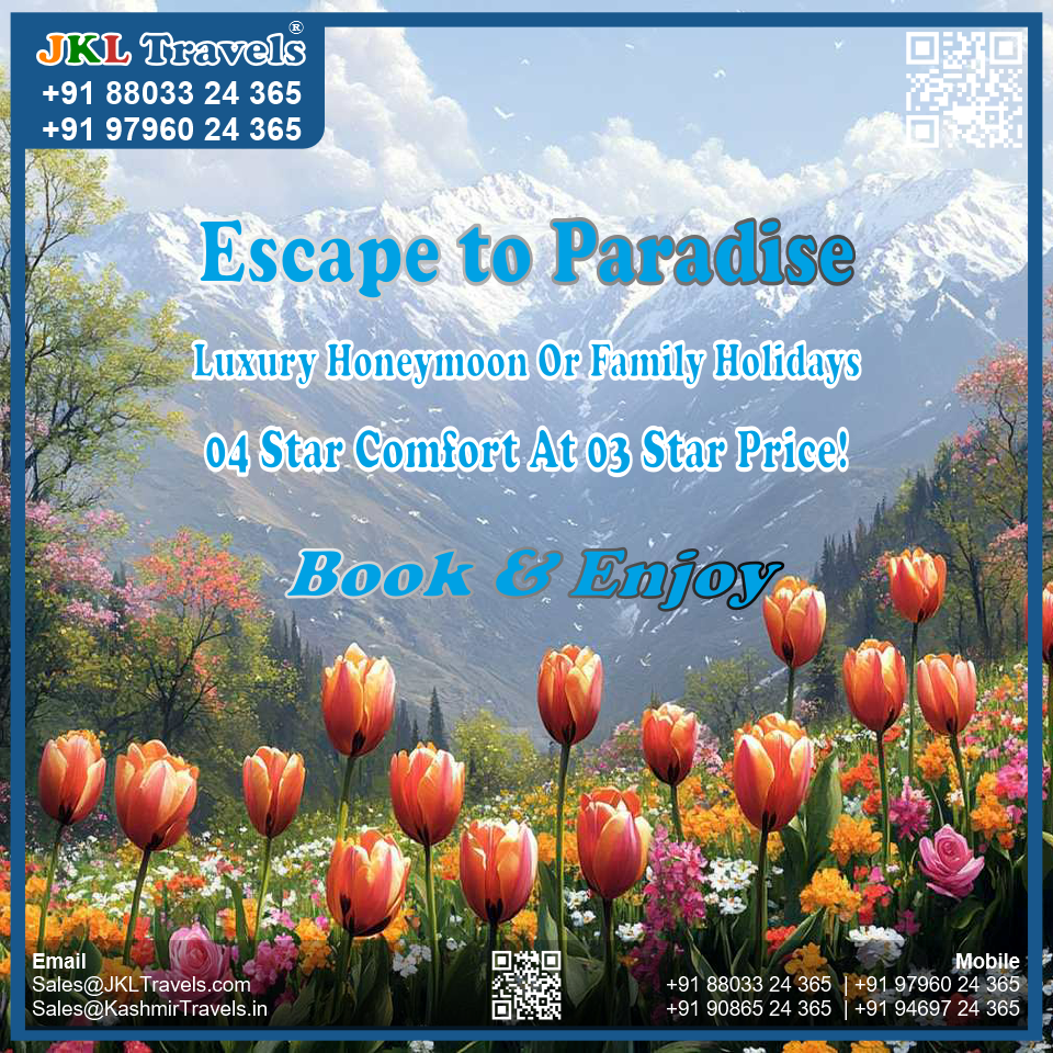 Luxury Honeymoon & Family Holidays (04 Star Comfort at 03 Star Price) JKL Travels
