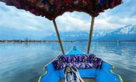 Dal Lake Shikara Ride – Complete Traveler’s Guide 2025