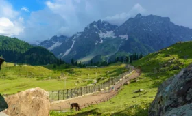 Ahmedabad to Kashmir Travel Guide – Best Routes, Flight & Trip Cost 2025