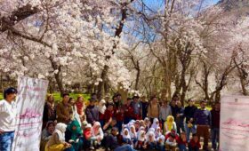 Apricot Blossom Festival Ladakh 2026 Tour | 7 Days Leh Nubra Pangong Itinerary