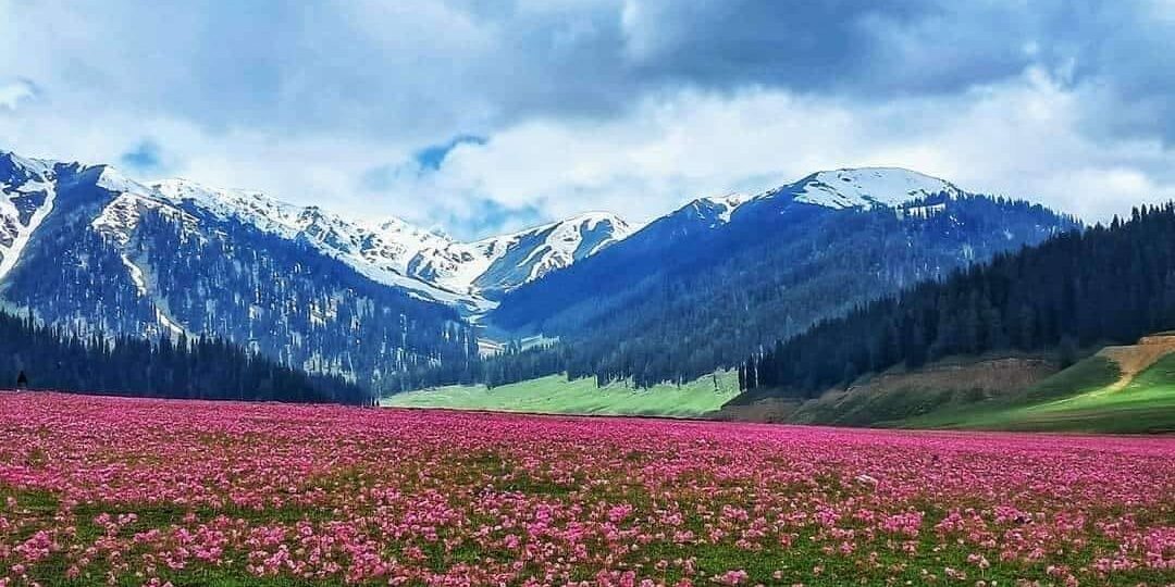 Hidden Kashmir 2026: Lolab, Gurez, Bangus, Chatpal & Tosa Maidan — 7-Day Offbeat Itinerary, Costs & FAQs | JKL Travels