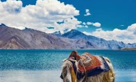 The Ladakh No One Instagrams: A Journey Through Its 7 Best-Kept Secrets