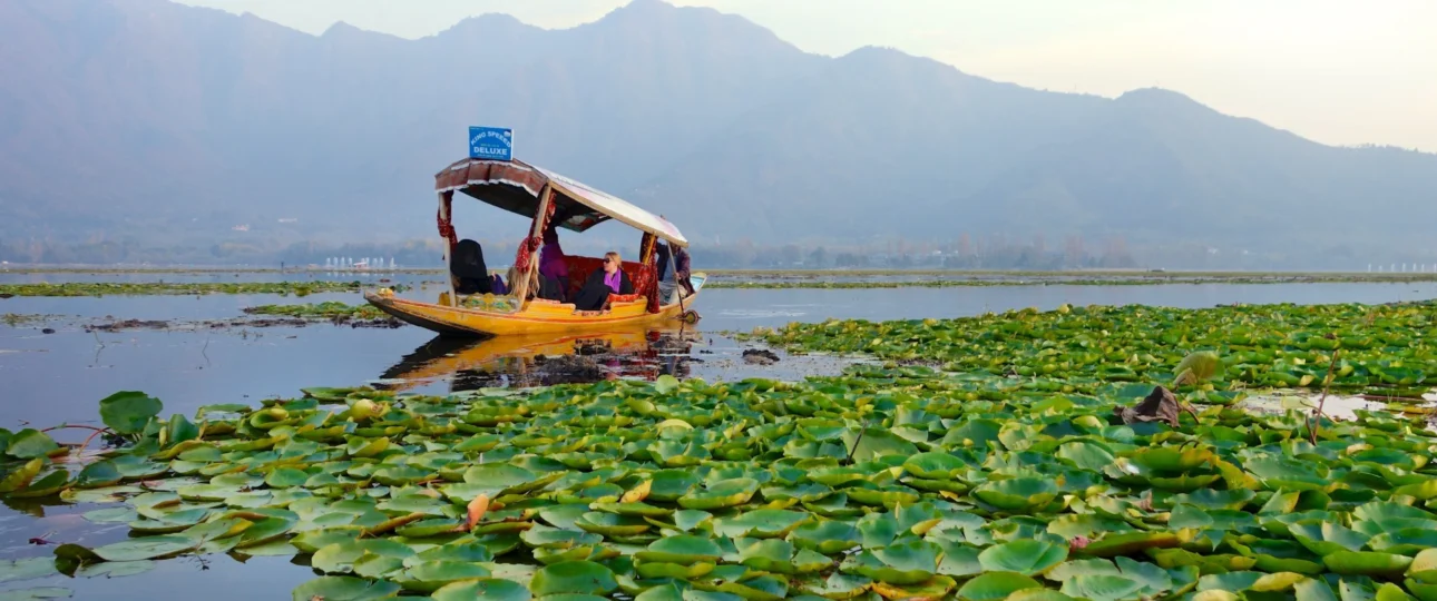 Kashmir Festive Travel Guide 2026 — Diwali, Christmas, New Year & Valentine's Packages | JKL Travels