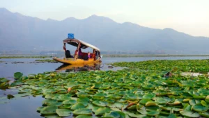 Kashmir Festive Travel Guide 2026 — Diwali, Christmas, New Year & Valentine's Packages | JKL Travels