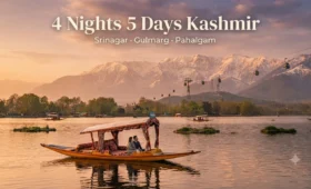 Kashmir on a Budget 2026: 5-Day Srinagar–Gulmarg–Pahalgam–Sonmarg Trip | JKL Travels