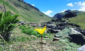 Off-Map Kashmir & Ladakh 2026: Gurez Valley, Great Lakes Trek & Leh Bike Trail Guide