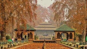 Autumn in Kashmir, Winter in Paradise: Why October and November Are Perfect for a Valley Escape