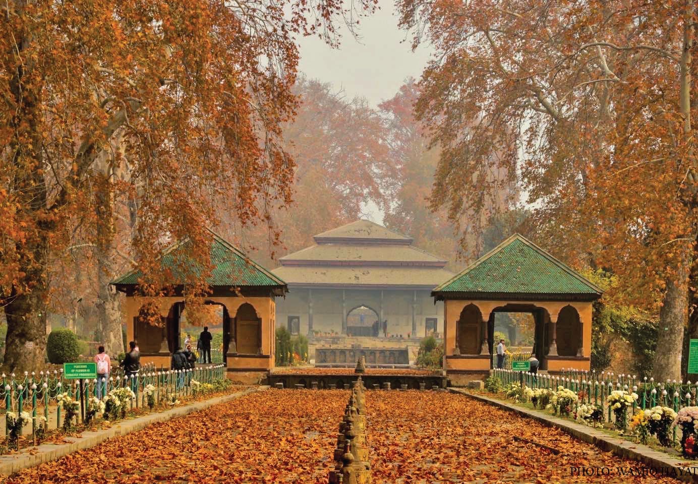 Autumn in Kashmir, Winter in Paradise: Why October and November Are Perfect for a Valley Escape