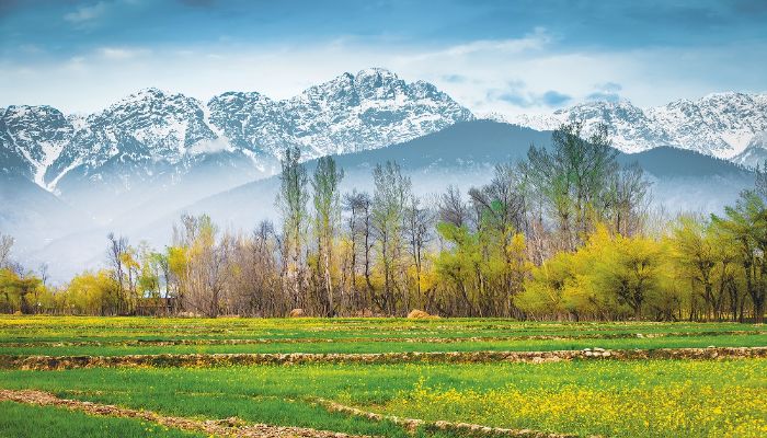 Kashmir, Rewritten by Light: The Valley Where Every Journey Feels Like a Film
