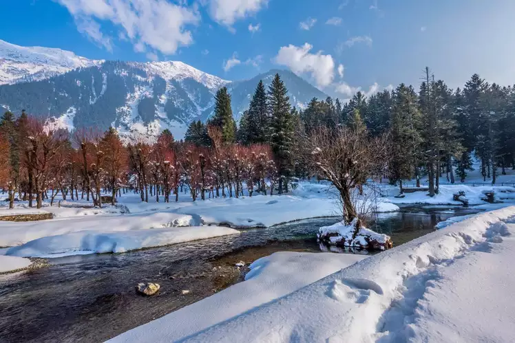 The Kashmir Season Nobody Talks About Enough: From Golden Chinars to the First Snow