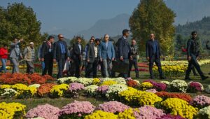 Kashmir Chrysanthemum Garden 2026: Srinagar Autumn Travel Guide